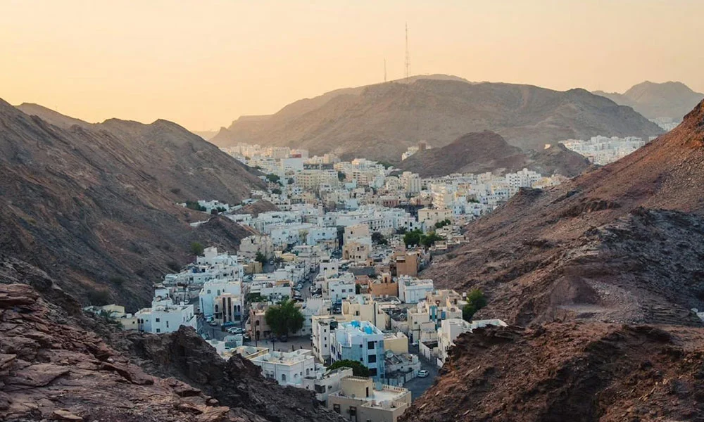 Deep Sector Expertise